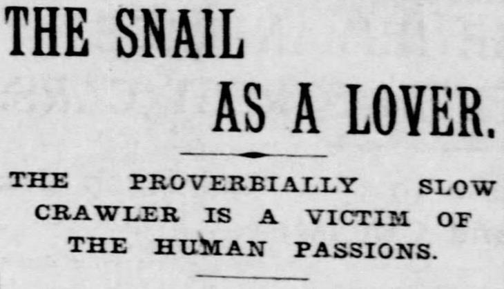 Hilarious Vintage Newspaper Clippings