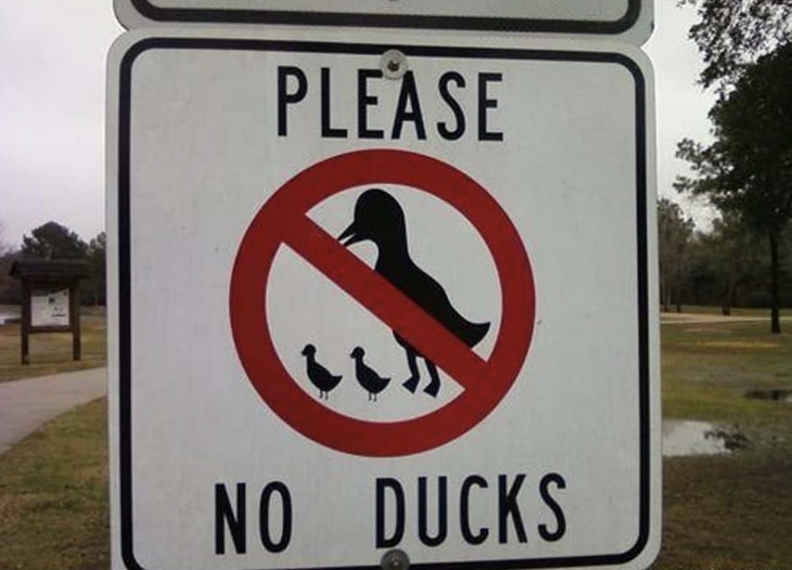 Confusing and Funny Signs 