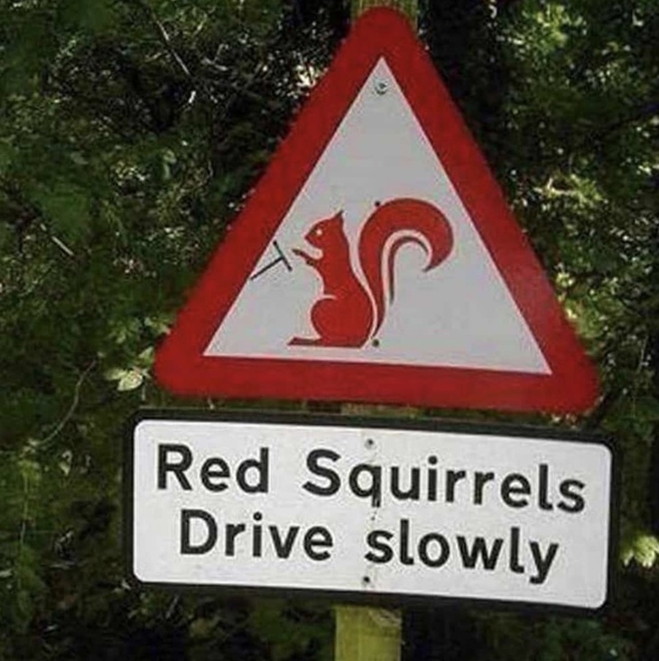 Confusing and Funny Signs 