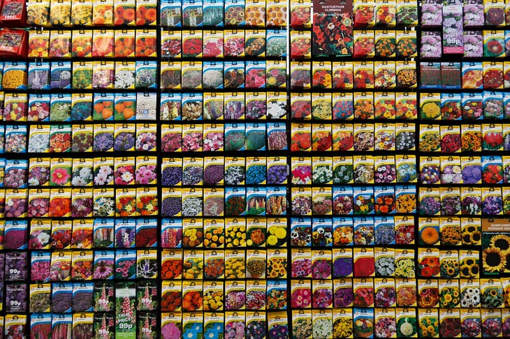 Non-food uses for a freezer: packages of seeds hanging side by side