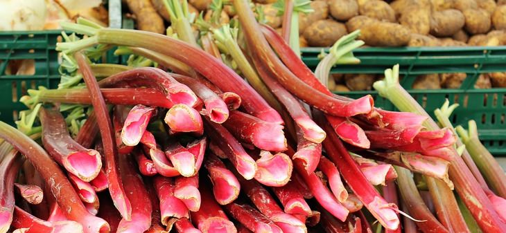 Grandma's beauty secrets: Rhubarb stalks on display at a market stall
