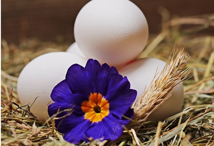Grandma's beauty secrets: Eggs placed on a bed of straw