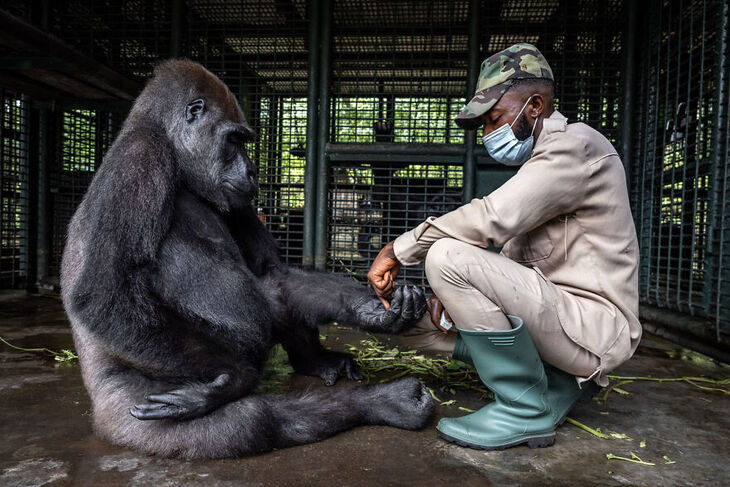 European Wildlife Photographer of the Year 