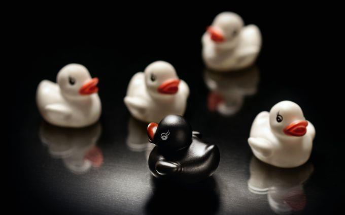 What is the legend that tells the story of your life: a black duck among white ducks