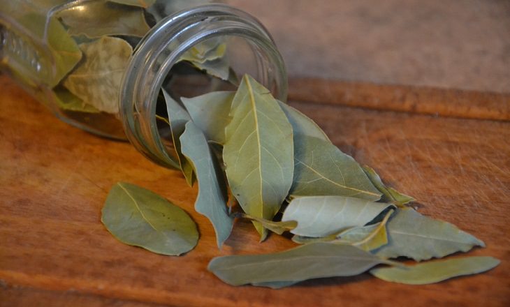 Indian meal moth - Treatment and Prevention: Bay leaves