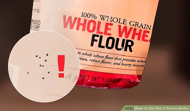 Indian meal moth - Treatment and Prevention: Flour with holes