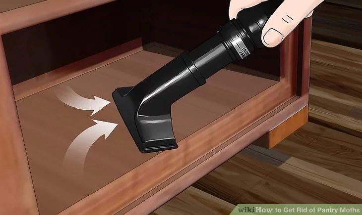 Indian meal moth - Treatment and Prevention: Vacuuming a cabinet