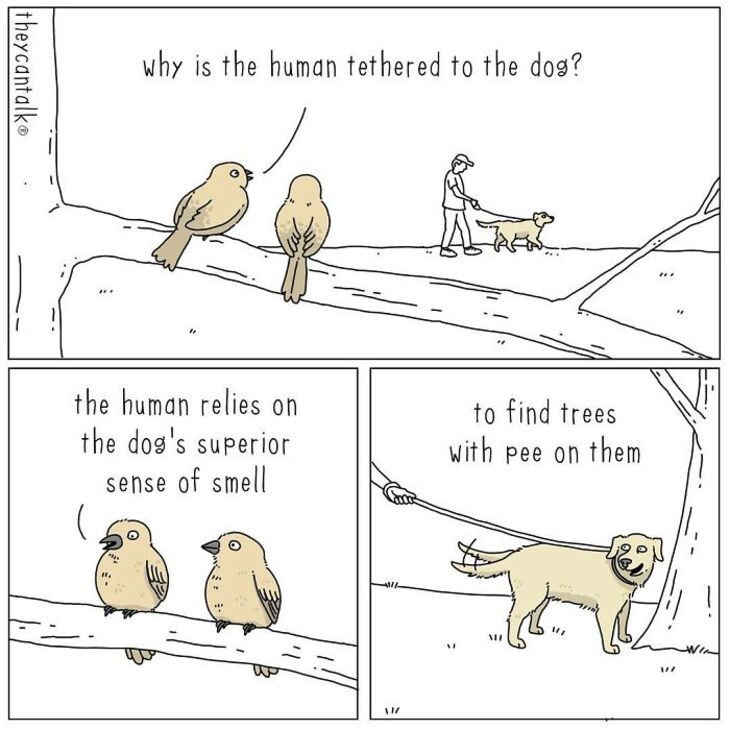 Animal comics