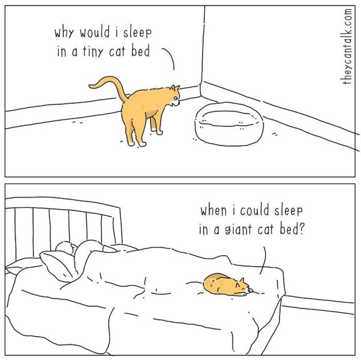 Animal comics