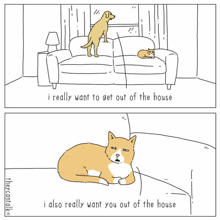 Animal comics