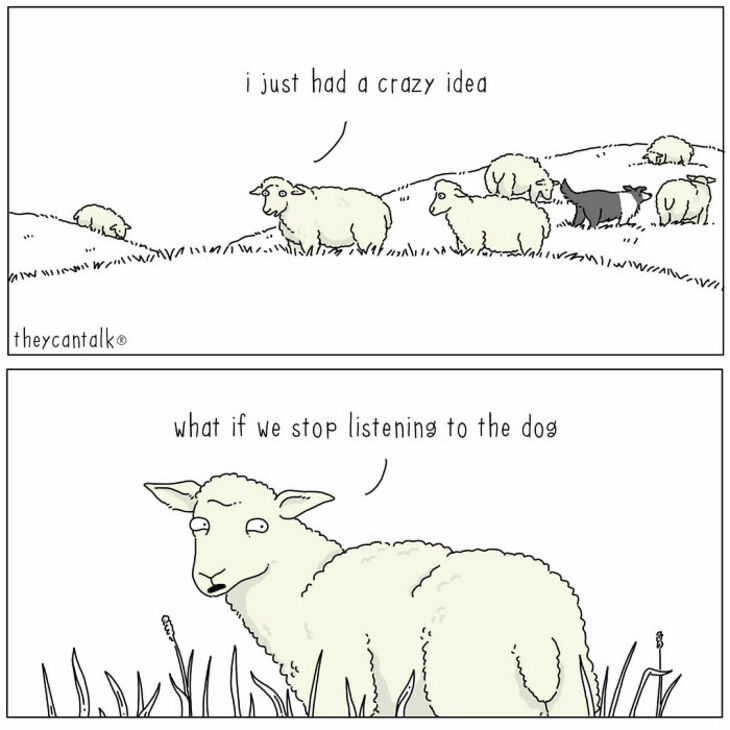 Animal comics