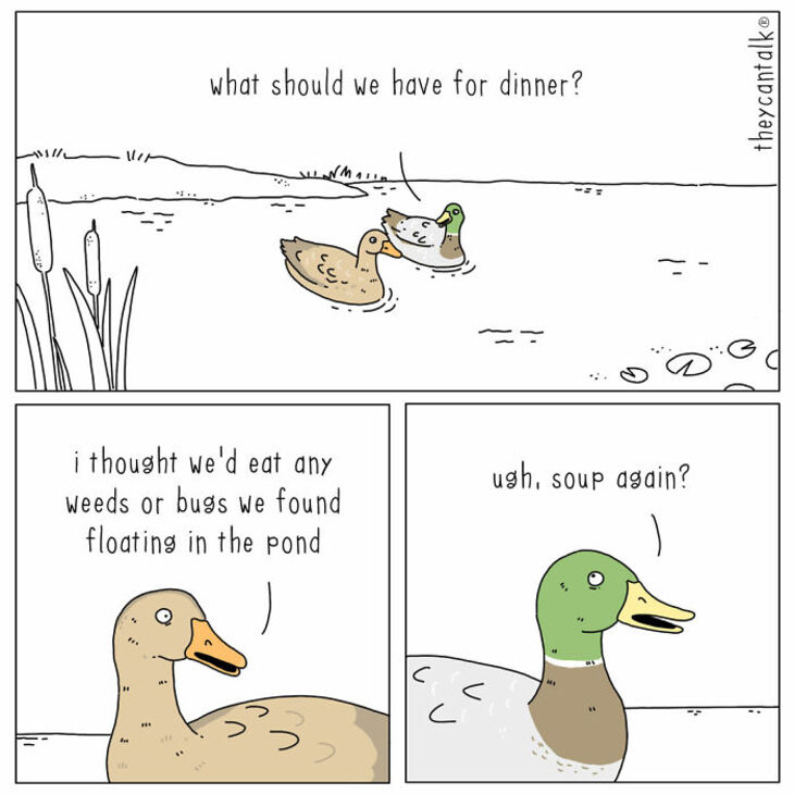 Animal comics