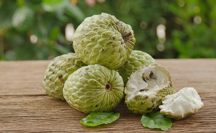 Sugar apple