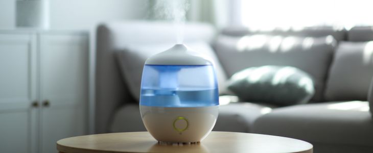 Things Dangerous to Lungs: Humidifier