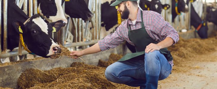 Things Dangerous to Lungs: Farmer