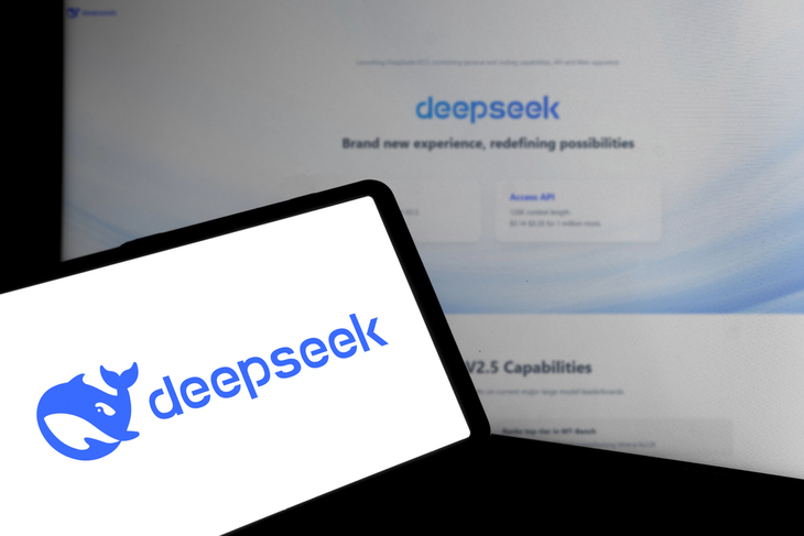 DeepSeek