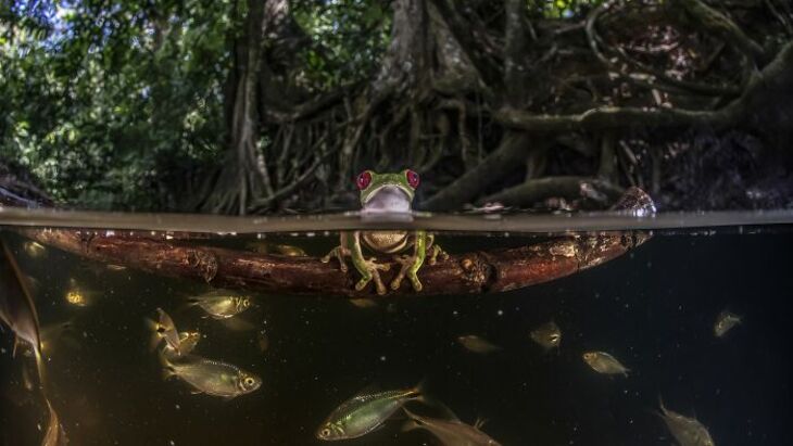 2024 Photographer of the Year Winners 