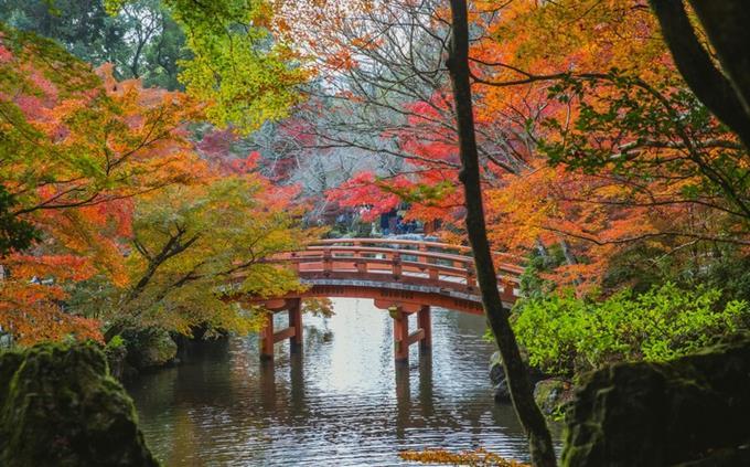 Internal strength test: a bridge in the garden