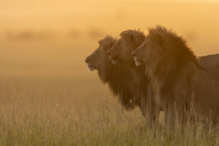 2024 Photographer of the Year Winners 