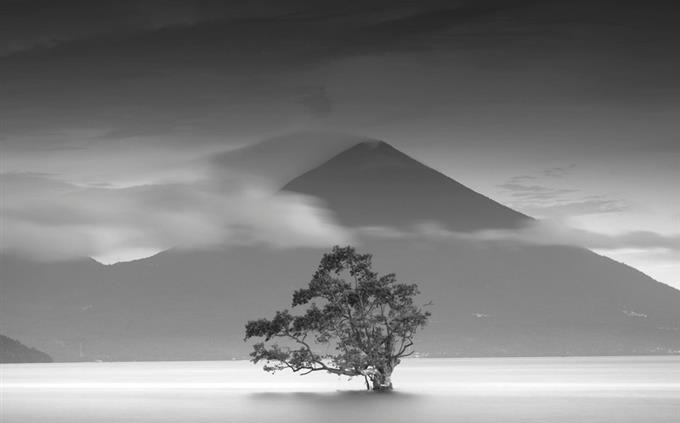 Internal strength test: tree and pyramid in black and white