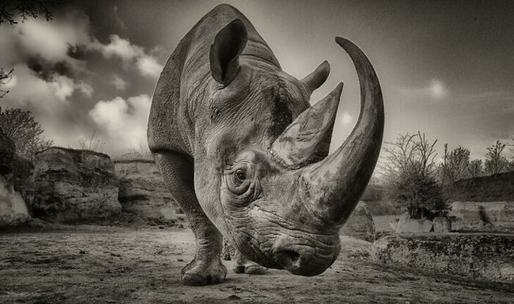 2024 Photographer of the Year Winners 