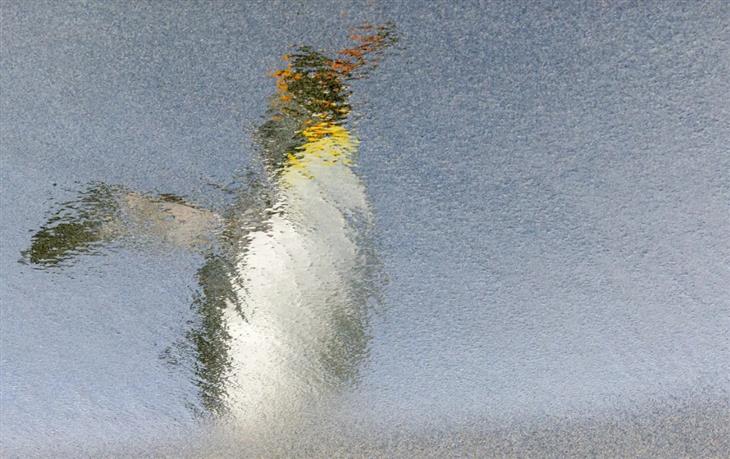 Ocean photography competition: 