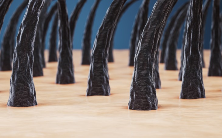 scalp skin conditions