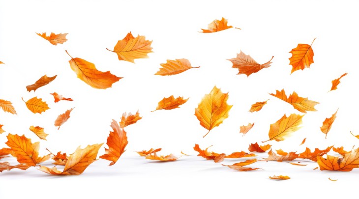 mulching materials fall