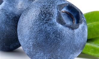 Childhood and chocolate test: blueberries