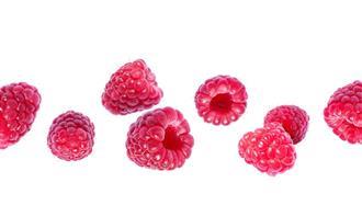 Childhood and chocolate test: