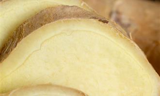 Childhood and Chocolate Test: Ginger