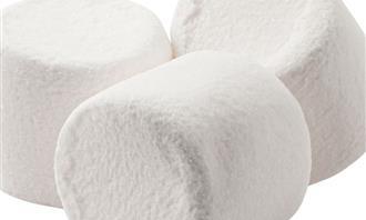 Childhood and chocolate test: marshmallow