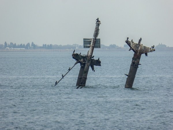 12 Fascinating Facts About World War II