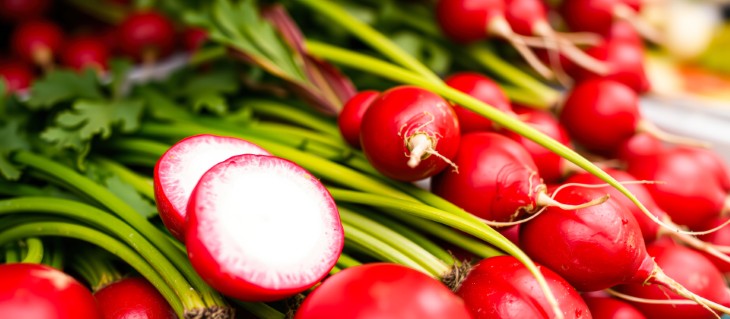 best plants to plant during october