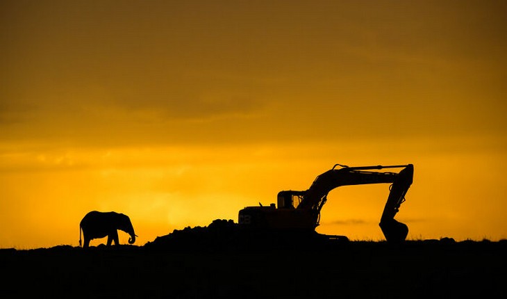 Images from the 2025 Nature Photographer of the Year competition: Elephant and bulldozer against sunset