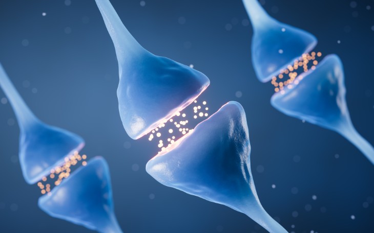 Connecting SIRT6 to Tryptophan Metabolism