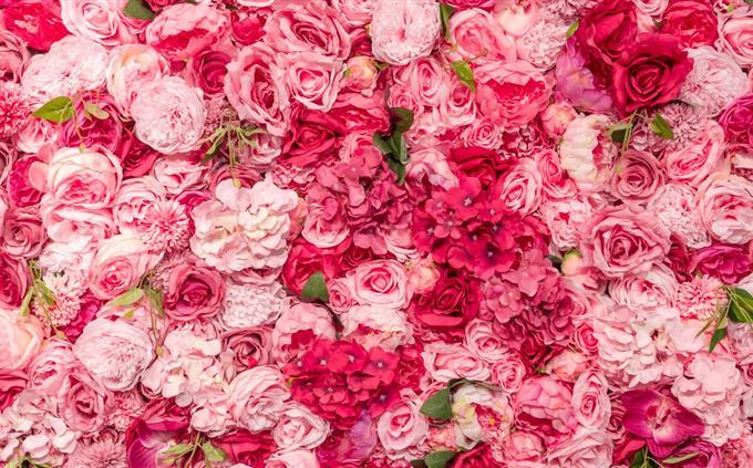 Pink shade personality test: flowers
