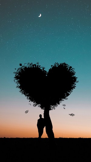 Wallpapers for Computer and Smartphone on the theme of love