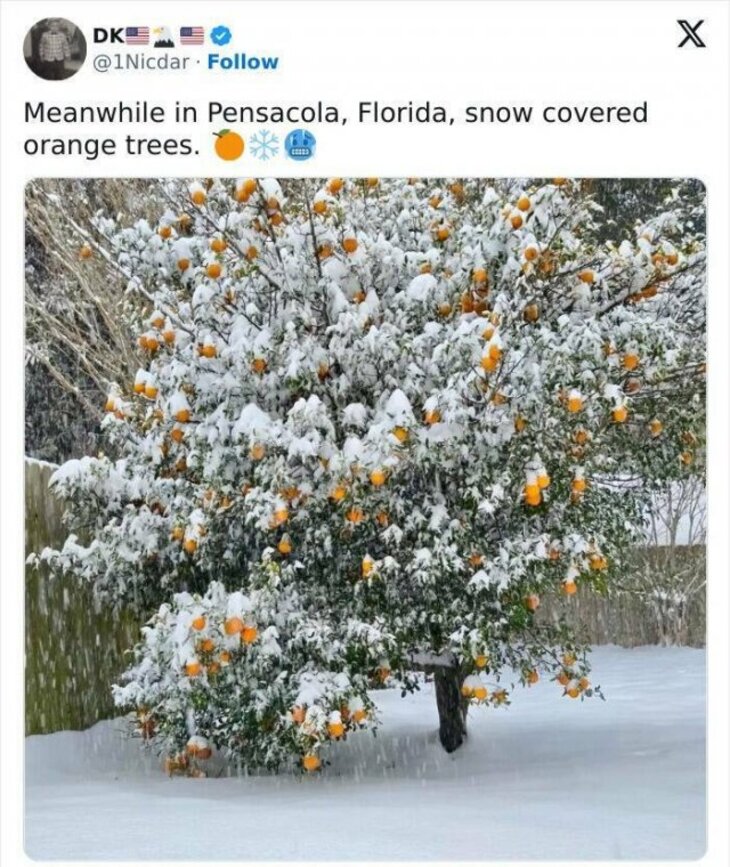 Florida