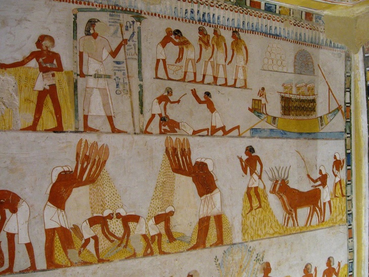 Daily Life in Ancient Egypt