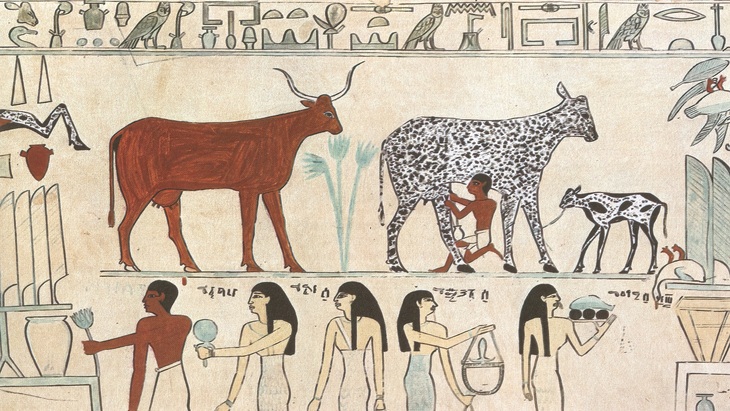 Daily Life in Ancient Egypt
