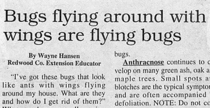 Funny headlines