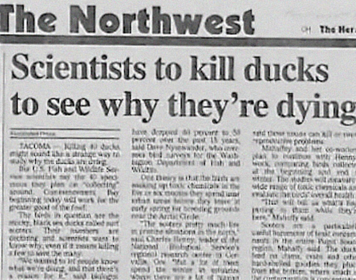 Funny headlines
