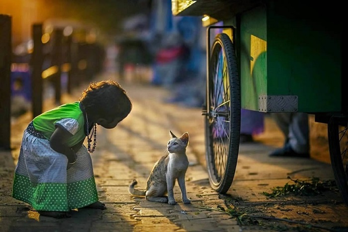 Cute animal photos: Girl and a cat