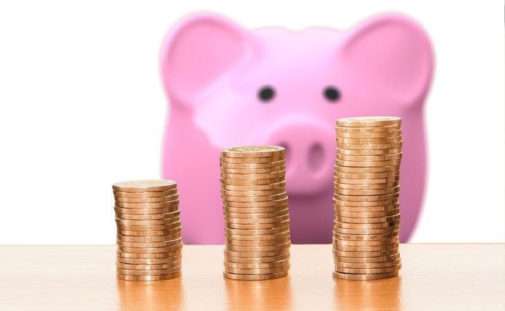 13 steps to success: coins in front of a piggy bank