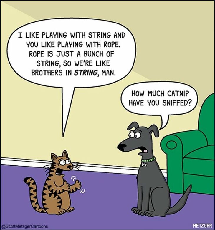  Hilarious Comics That Nail Cat and Dog Personalities