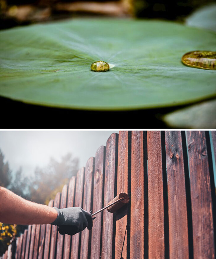 Como projetos da natureza moldaram inovações