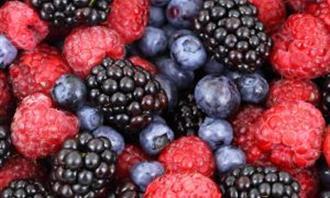 Trussia World Life: Fruit Fruits