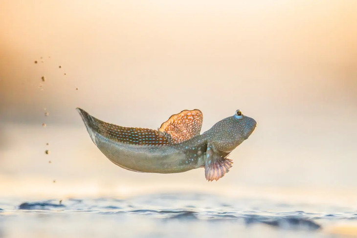  Nature Photography Awards