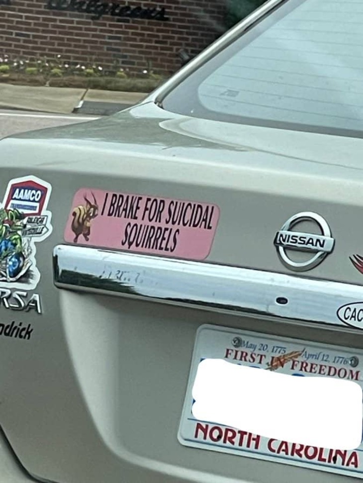 Bumper Stickers